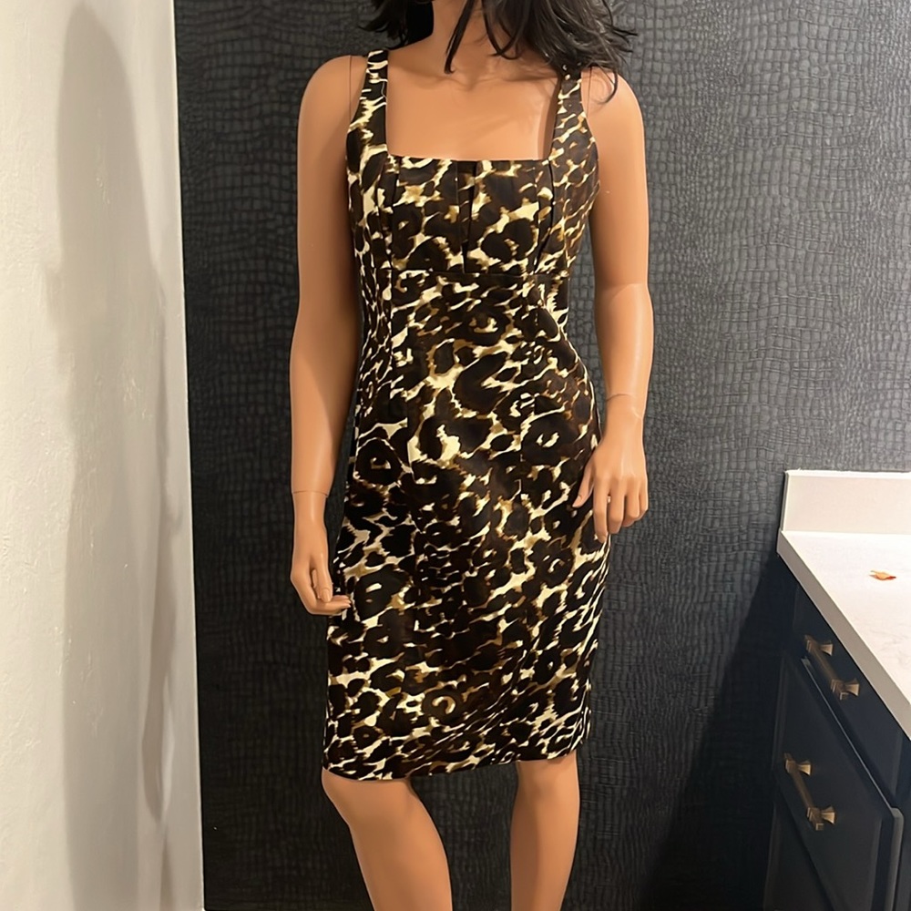 Size 6 Calvin Klein Knee Length Animal Print Dress